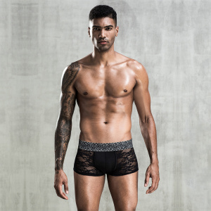 PANTS AUS SPITZE