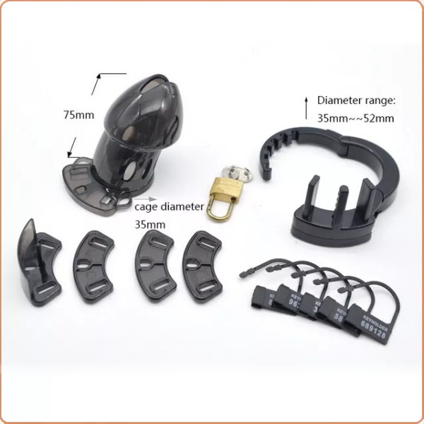 CHASTITY STANDARD – Bild 2