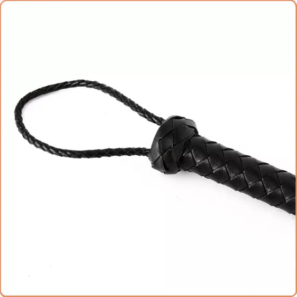 SINFUL WHIP – Bild 2