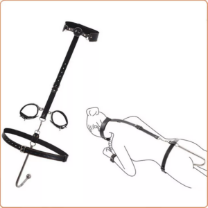 FESSEL-SET MIT HALS- UND KNEBEL