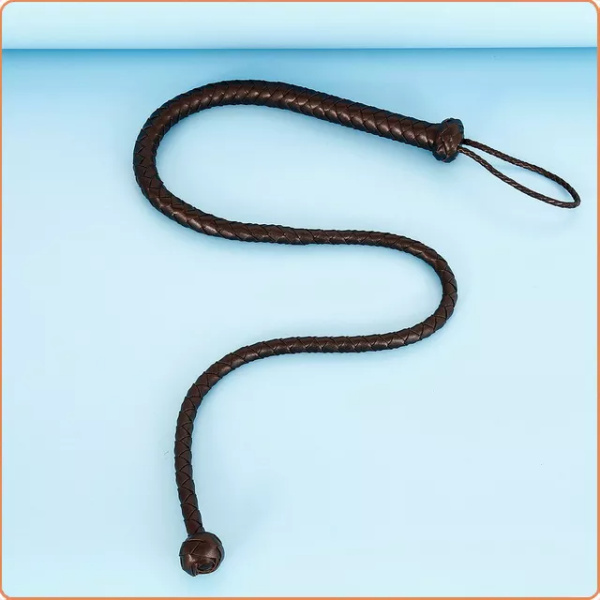 SINFUL WHIP – Bild 3