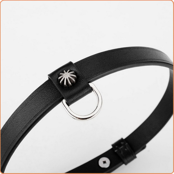LEDER SCHMALES HALSBAND MIT LEINE – Bild 3